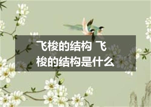 飞梭的结构 飞梭的结构是什么