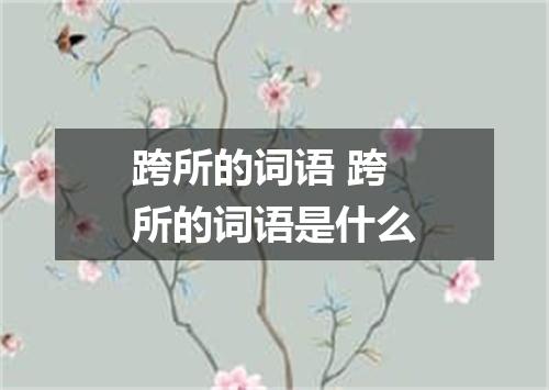 跨所的词语 跨所的词语是什么