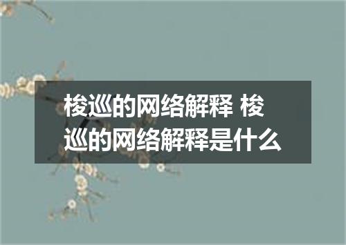 梭巡的网络解释 梭巡的网络解释是什么