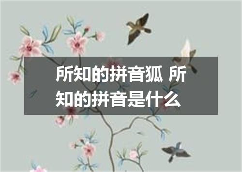 所知的拼音狐 所知的拼音是什么