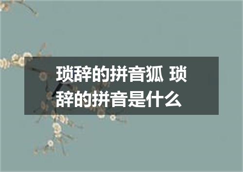 琐辞的拼音狐 琐辞的拼音是什么
