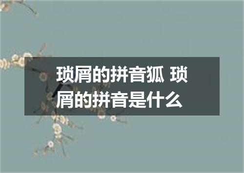 琐屑的拼音狐 琐屑的拼音是什么