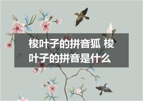 梭叶子的拼音狐 梭叶子的拼音是什么