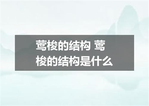 莺梭的结构 莺梭的结构是什么