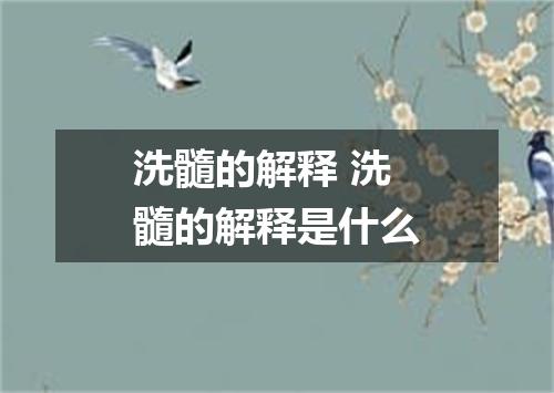 洗髓的解释 洗髓的解释是什么