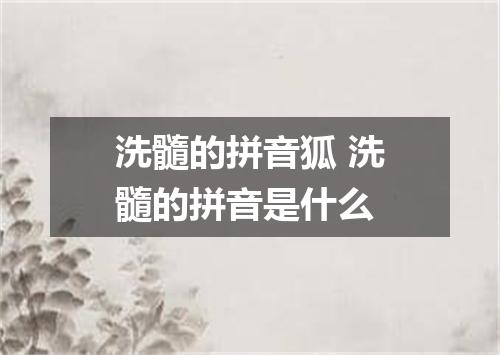 洗髓的拼音狐 洗髓的拼音是什么
