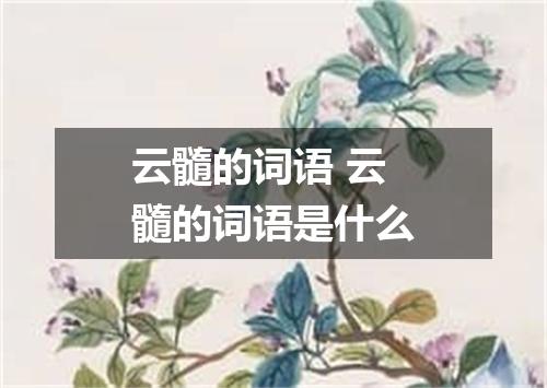 云髓的词语 云髓的词语是什么