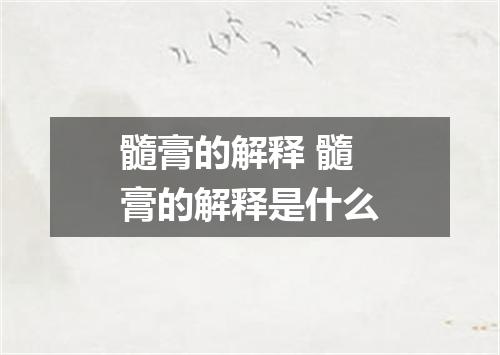 髓膏的解释 髓膏的解释是什么