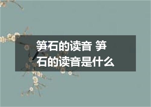 笋石的读音 笋石的读音是什么