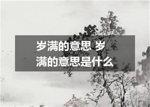 岁满的意思 岁满的意思是什么