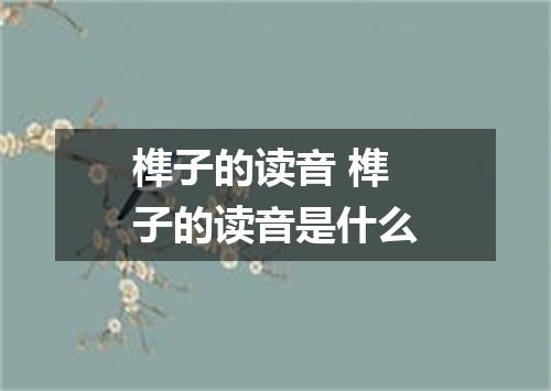 榫子的读音 榫子的读音是什么