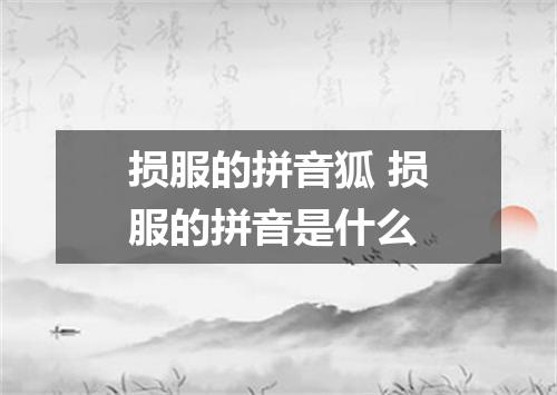 损服的拼音狐 损服的拼音是什么