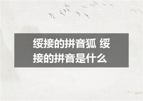 绥接的拼音狐 绥接的拼音是什么