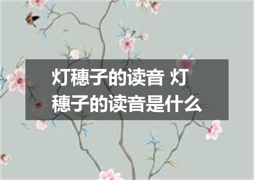灯穗子的读音 灯穗子的读音是什么