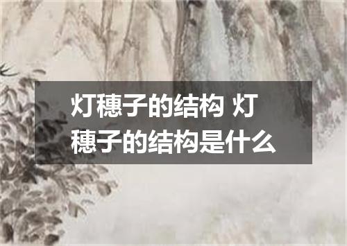 灯穗子的结构 灯穗子的结构是什么
