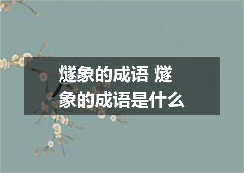 燧象的成语 燧象的成语是什么