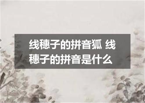 线穗子的拼音狐 线穗子的拼音是什么