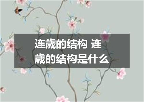 连歳的结构 连歳的结构是什么