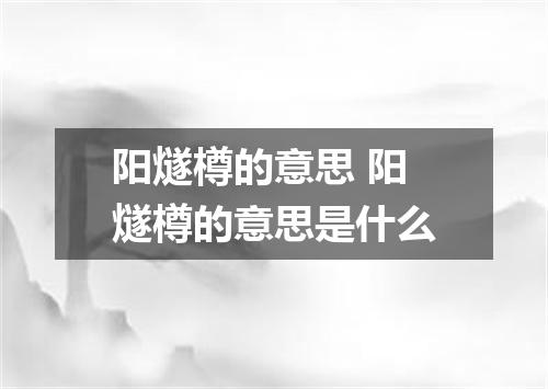 阳燧樽的意思 阳燧樽的意思是什么