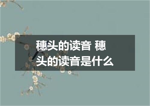 穗头的读音 穗头的读音是什么