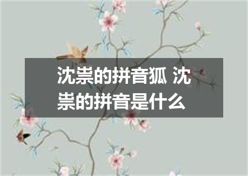 沈祟的拼音狐 沈祟的拼音是什么