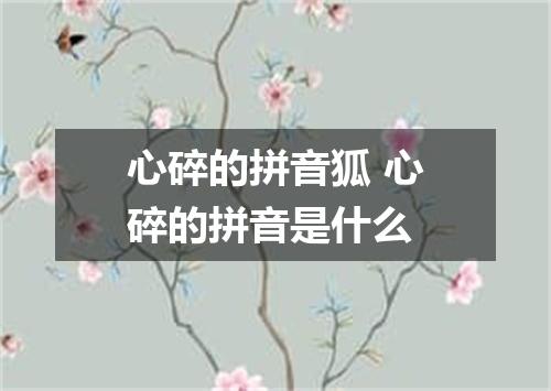 心碎的拼音狐 心碎的拼音是什么