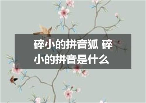 碎小的拼音狐 碎小的拼音是什么
