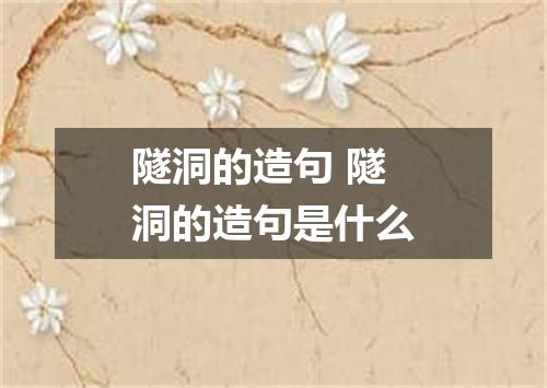 隧洞的造句 隧洞的造句是什么