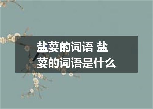 盐荽的词语 盐荽的词语是什么