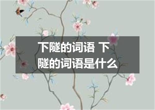 下隧的词语 下隧的词语是什么