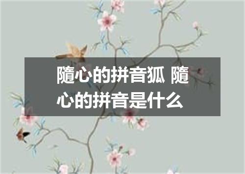 隨心的拼音狐 隨心的拼音是什么