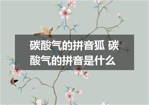 碳酸气的拼音狐 碳酸气的拼音是什么