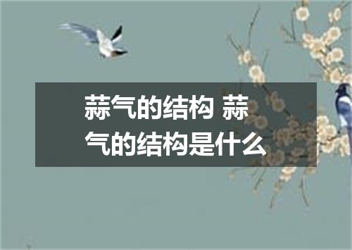 蒜气的结构 蒜气的结构是什么