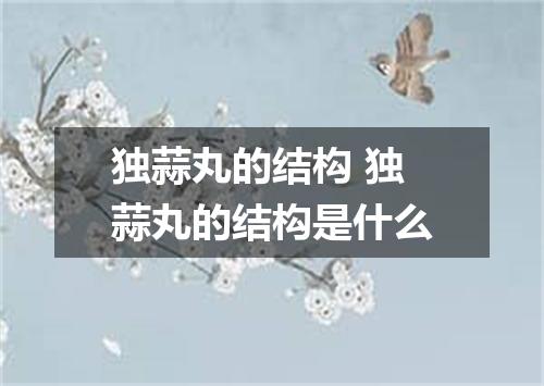 独蒜丸的结构 独蒜丸的结构是什么