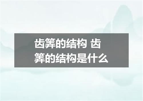 齿筭的结构 齿筭的结构是什么
