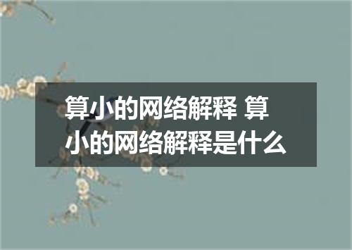 算小的网络解释 算小的网络解释是什么