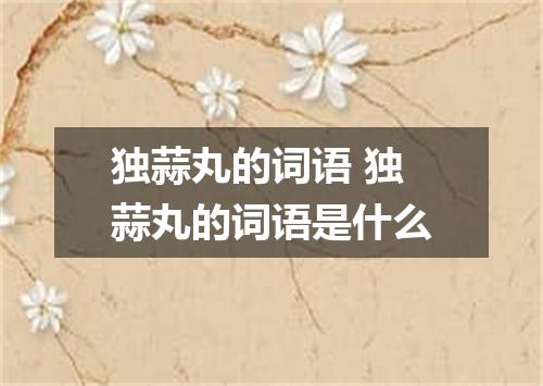 独蒜丸的词语 独蒜丸的词语是什么