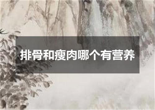 排骨和瘦肉哪个有营养