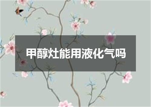 甲醇灶能用液化气吗
