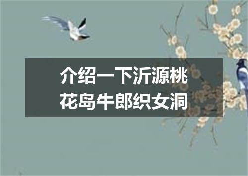 介绍一下沂源桃花岛牛郎织女洞