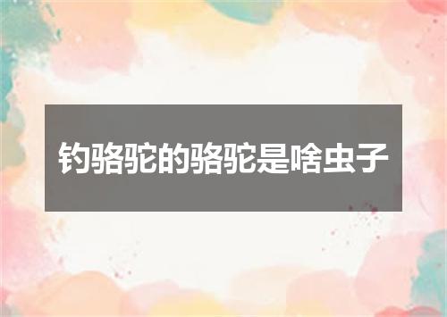 钓骆驼的骆驼是啥虫子