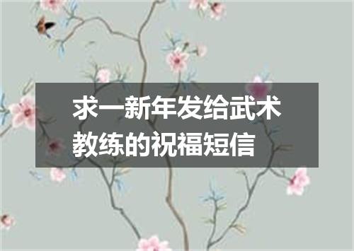 求一新年发给武术教练的祝福短信