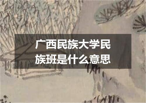 广西民族大学民族班是什么意思