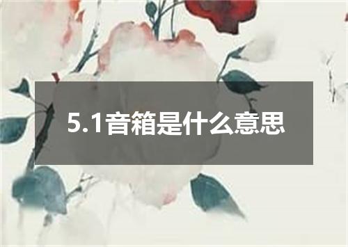 5.1音箱是什么意思