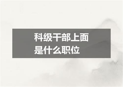 科级干部上面是什么职位