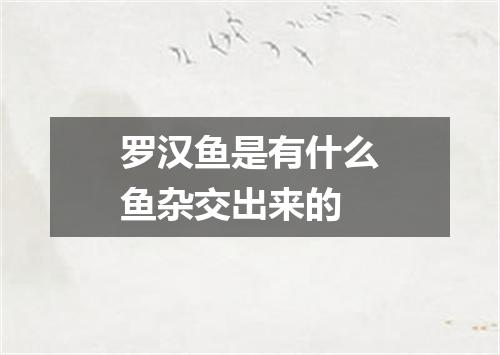罗汉鱼是有什么鱼杂交出来的