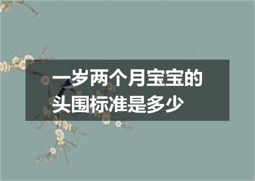一岁两个月宝宝的头围标准是多少