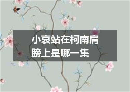 小哀站在柯南肩膀上是哪一集