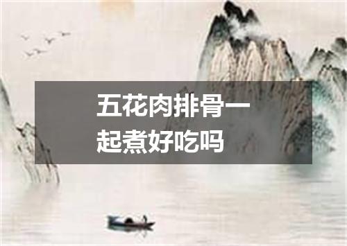 五花肉排骨一起煮好吃吗