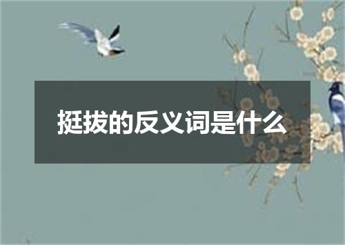 挺拔的反义词是什么